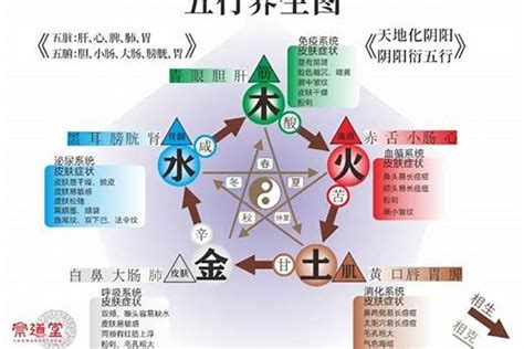 缺火命格|命中缺火？7招旺財秘訣